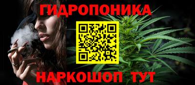 дмт Брянск
