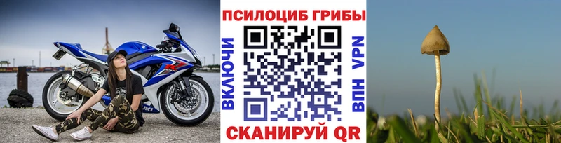 Псилоцибиновые грибы мухоморы  купить закладку  Белово 